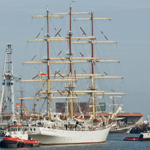 DelfSail 2009 - © Richard Degenhart