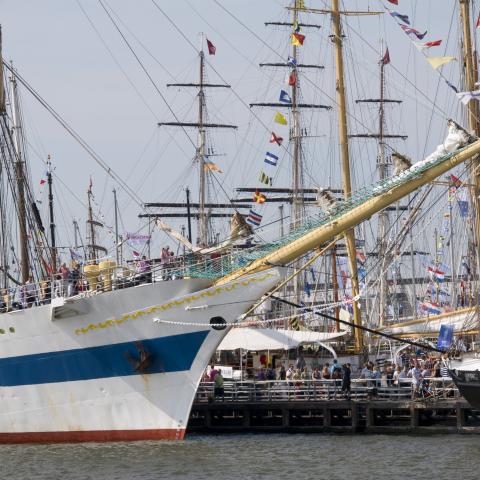 DelfSail 2009 - © Jolanda Wals