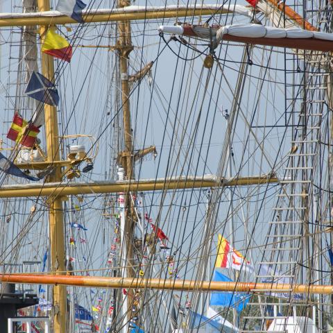 DelfSail 2009 - © Jolanda Wals