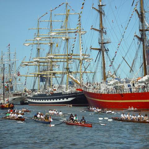 DelfSail 2003 - © Koos Boertjens