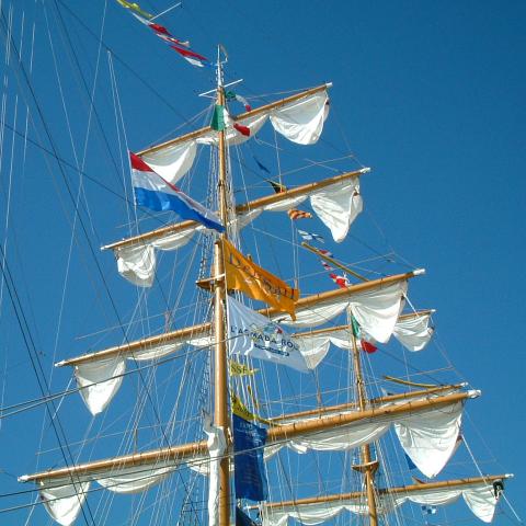 DelfSail 2003 - © Koos Boertjens