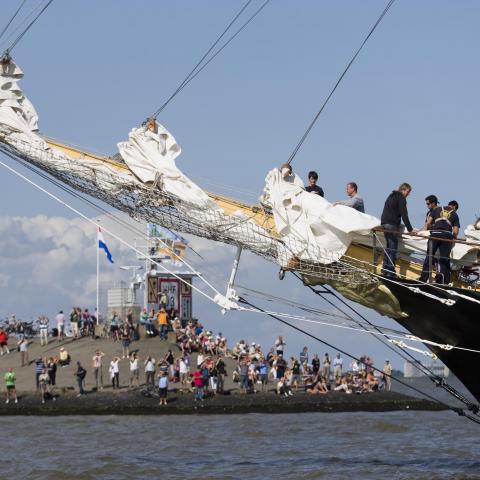 DelfSail 2009 - © Jos Schuurmans