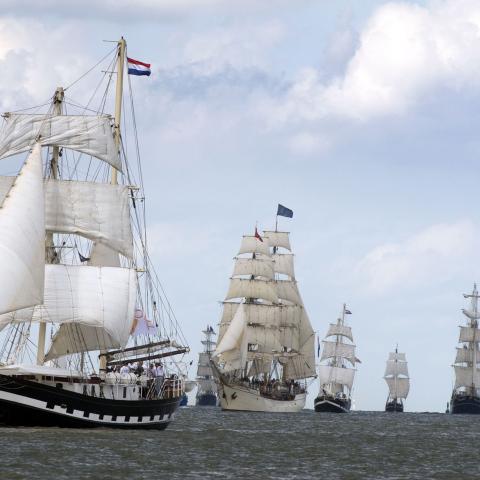 DelfSail 2009 - © Jos Schuurmans