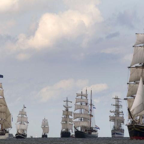 DelfSail 2009 - © Jos Schuurmans