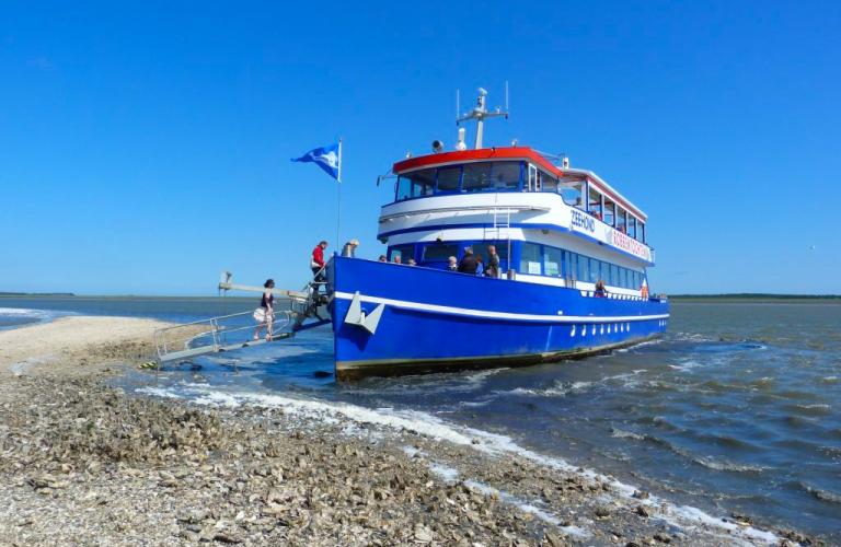 Tijdens rondvaarten meert Robbenboot Zeehond ook aan op zandplaten om dichterbij de natuur te komen